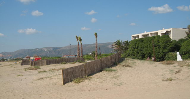 Barreres de canya que han de fixar les dunes del nou tram del passeig marítim de Gavà Mar (27 de Setembre de 2008)